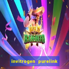 invitrogen purelink genomic dna mini kit